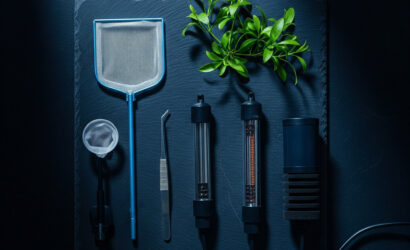 Akvaryum ve Ekipmanları